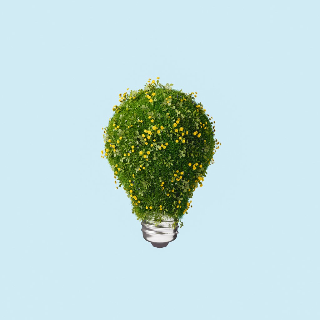 FAQ image lightbulb covered in greens