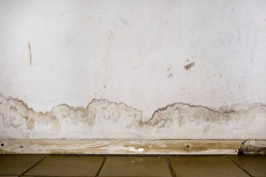 Mouldy white wall after flood