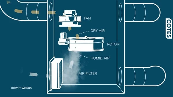 How does an adsorption dehumidifier work_Moment